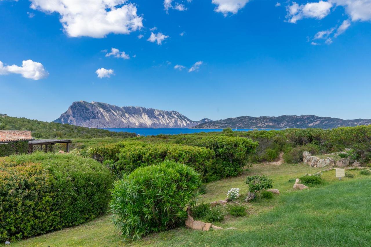 Coda Cavallo Villaggio Cala Paradiso Villino C4 Holiday home San Teodoro (Sardinia)